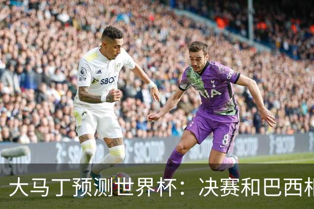 大马丁预测世界杯：决赛和巴西相遇 阿根廷将通过点球大战卫冕